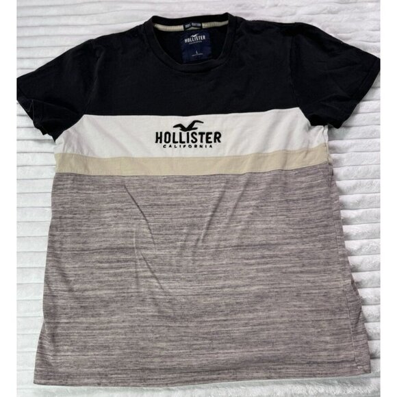 Hollister Other - HOLLISTER White Short Sleeve Logo Colorblock Shirt Men's Large